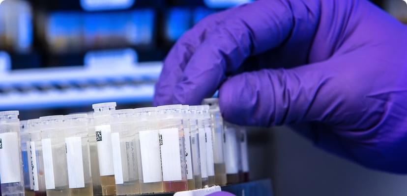 OmicsChart at Biotech Bootcamp by BioM and SmiLe