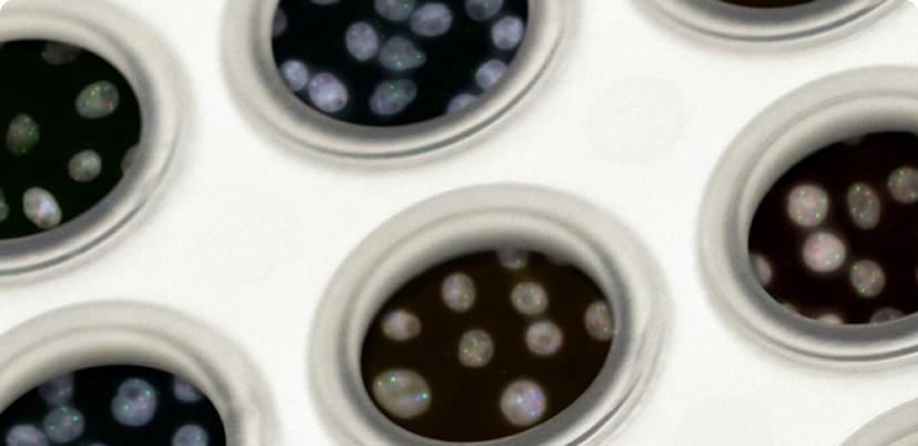 OmicsChart presents at Digital Health Pitch Day